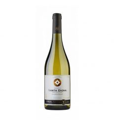 SANTA DIGNA CHARDONNAY