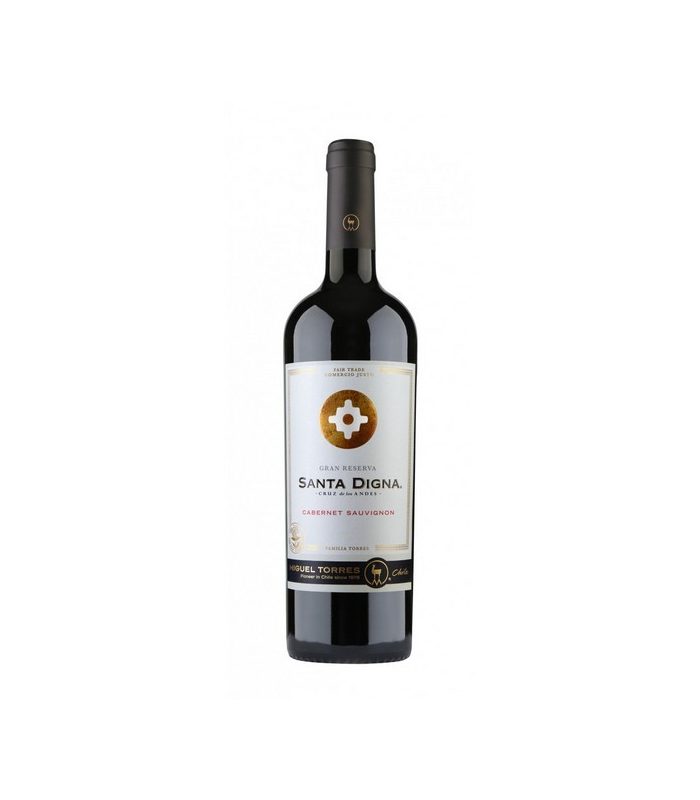 SANTA DIGNA CABERNET TINTO