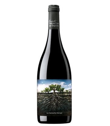GARNACHA SALVAJE MONCAYO TINTO