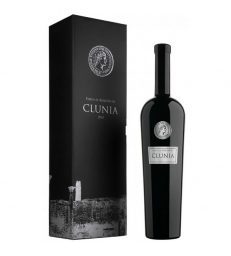 FINCA EL RINCON DE CLUNIA