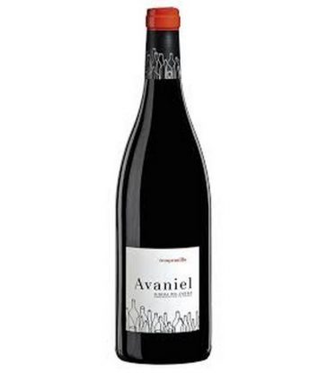 AVANIEL TINTO JOVEN