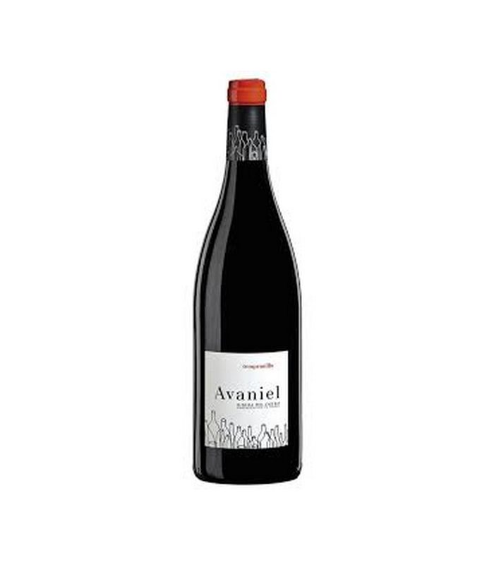 AVANIEL TINTO JOVEN