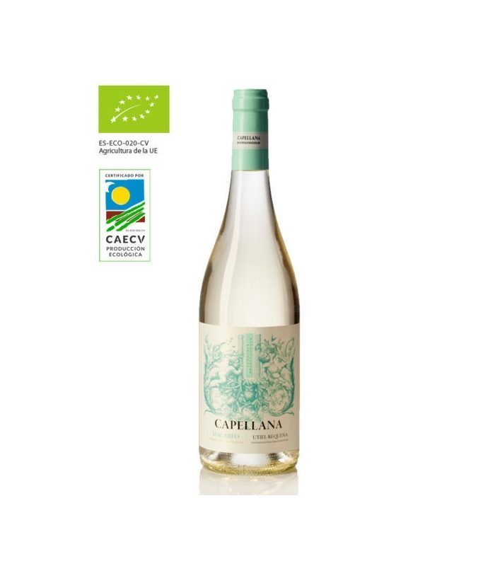 CAPELLANA BLANCO MACABEO