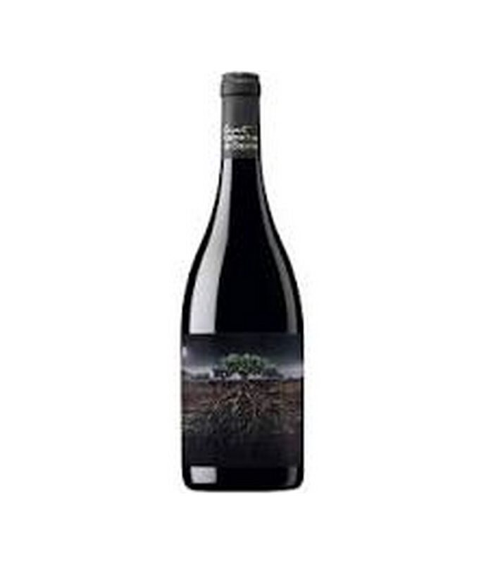 GARNACHA FOSCA DE PRIORAT