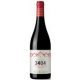 3404 TINTO